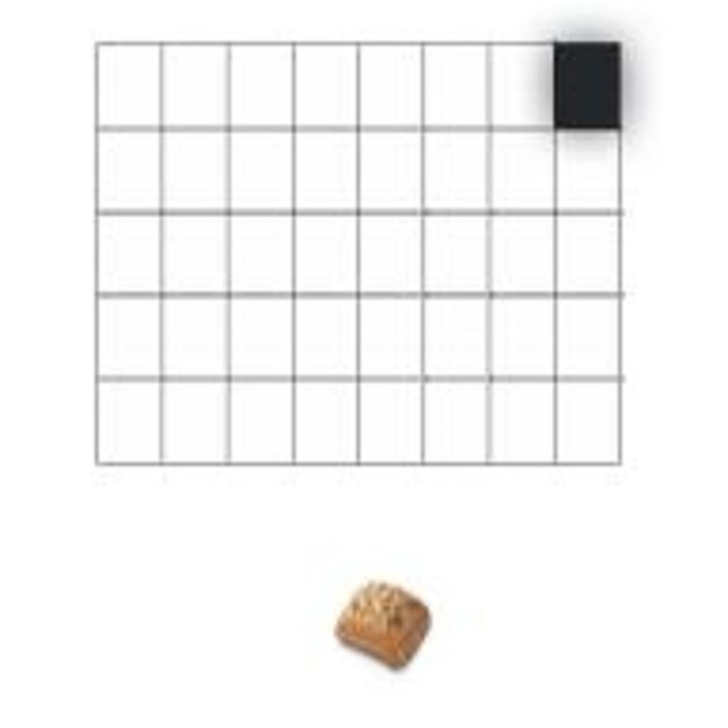 CUTTING GRID 8x5 40 x